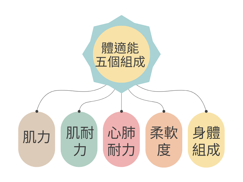 富爾達健康事業有限公司